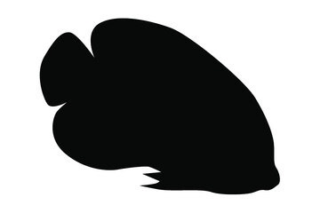 sea ​​fish silhouette vector