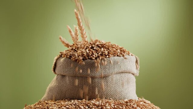 Malt grains close-up. Barley seeds in sack on green background, wheat texture. Brewery production concept. Agriculture and harvest time.