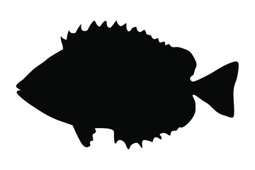 sea ​​fish silhouette vector
