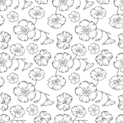 Vector seamless pattern of linear figured flax flowers. black and white doodle style. Modern design for clothing, packaging, paper, cover, fabric, interior decor