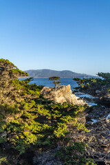 Fototapeta premium Big Sur - the most beautiful place in California.