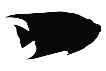 sea ​​fish silhouette vector
