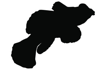sea ​​fish silhouette vector