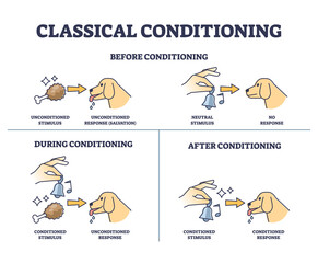 Classical conditioning with meat and bell for dog training outline diagram. Labeled educational scheme with learning stages before, during and after process vector illustration. Salvation trigger.