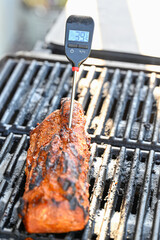 meat thermometer in pork tenderloin on grill