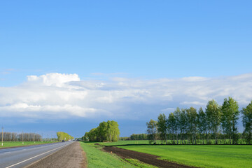 Green trees stand in a row on a green field under a bright blue cloudy sky on a summer sunny day