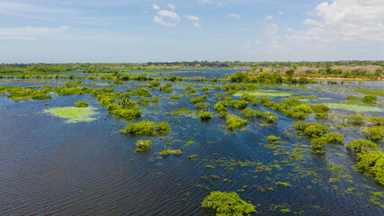 Aerial view of Lake with birds in the Kumana national park. Sri Lanka.