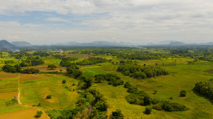 Aerial view of valley with rice fields and agricultural lands. Sri Lanka.