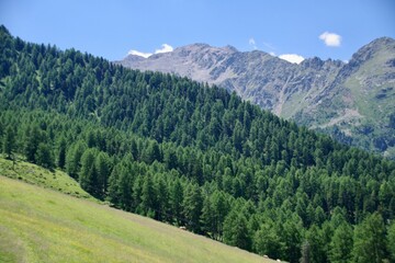 Landschaft Tarscheralm