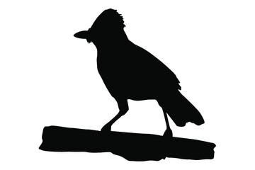 perching bird silhouette vector