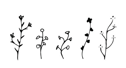 Collection with branches, flowers and herbs with leaves. Set of hand dravn isolated vector