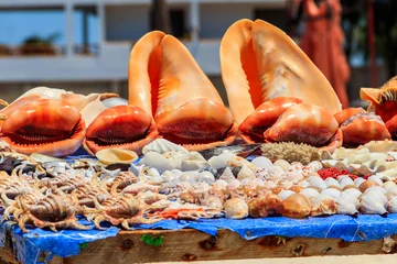Foto auf Acrylglas Nungwi Strand, Tansania Verschiedene Muscheln zum Verkauf an einem Stand am Strand von Nungwi, Sansibar, Tansania