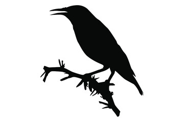perching bird silhouette vector