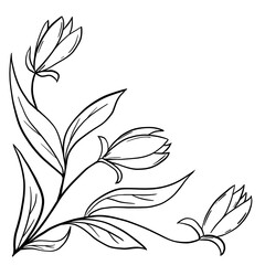 Hand drawn floral flower leaves illustration, black white elegant wedding ornament, Line art minimalism tatoo style design summer spring nature branch foliage blossom.