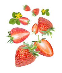 Strawberry and cut in half sliced with green leaf flying in the air isolated on white background. 