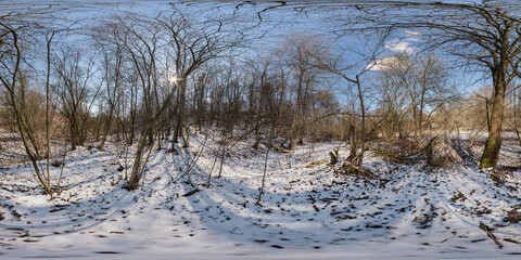 Winter full spherical hdri 360 degrees angle view panorama in bushes in a snowy forest with blue...