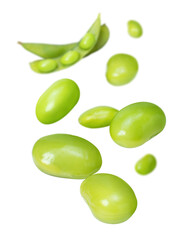 Green soy bean flying in the air isolated on white background.