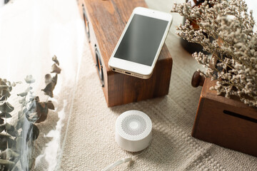 wireless portable speaker