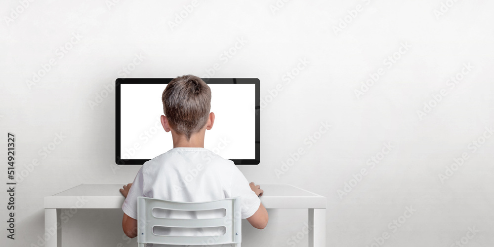 Leinwandbilder Boy is working on the computer, his back is turned. Isolated computer display for mockup. Copy space on the wall. The concept of working and learning on the computer