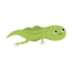 Tadpole cartoon character vector illustration. Drawings of green toads jumping, sitting in pond with lotus, catching dragonflies isolated on white