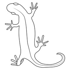 Lizard reptile gecko outline vector illustration. Simple line art illustration isolated on white background. Template for books, stickers, posters, cards, clothes.