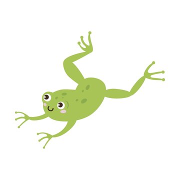 Cute frog cartoon character vector illustration. Drawings of green toad jumping catching dragonflies isolated on white