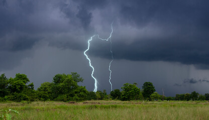 Dangerous strong lightnin over the forest in the field