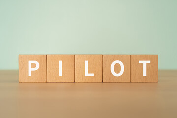 パイロットのイメージ｜「PILOT」と書かれたブロック