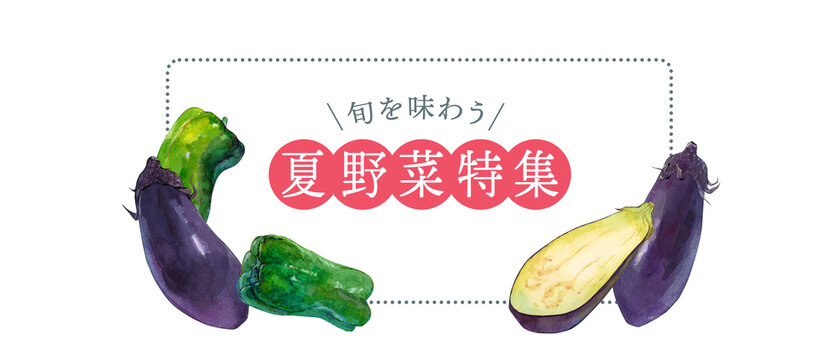 夏野菜 Images Browse 32 001 Stock Photos Vectors And Video Adobe Stock