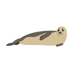 Lazy seal. Cute arctic animal cartoon character vector illustration. Polar bear, penguin, seal, hare, owl, killer whale, fauna of North Pole isolated on white