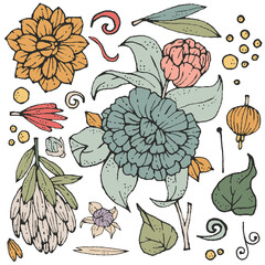 Set of colorful Hand drawn flowers and floral elements