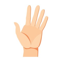 Human hand give five gesture. Arm and wrists, amount signs, open palm, pointing with finger, greeting, fist. Vector illustration for communication, signals