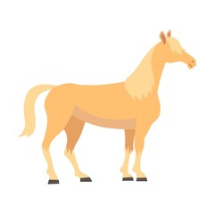 Breed of horse flat vector illustration. Colorful domestic animals, American mustangs standing and running isolated on white