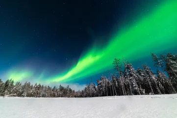 Aurores boréales en laponie finlandaise © Zlie