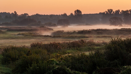 Letni poranek z mgłami w Dolinie Narwi, Podlasie, Polska © podlaski49