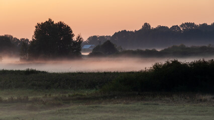 Letni poranek z mgłami w Dolinie Narwi, Podlasie, Polska © podlaski49