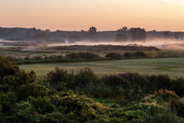 Obraz premium Letni poranek z mgłami w Dolinie Narwi, Podlasie, Polska