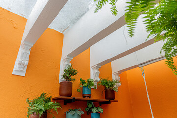 Jardín naranja con macetas