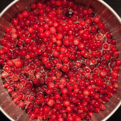 Organic cranberries cooked in saucepan, Fresh juice of berries boiling in a pot, Closeup