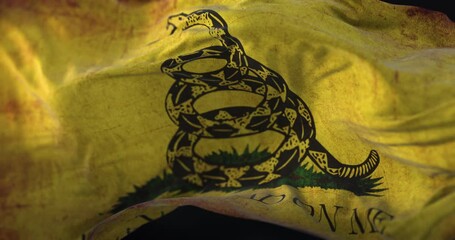 Old Don't Tread On Me Gadsden Flag Waving. Loop