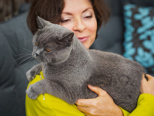 Portrait of a mature smiling woman holding a British shorthair cat in her arms, selective focus.