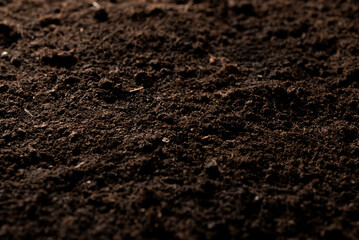 Black earth for plant background. Soil as background, farming concept