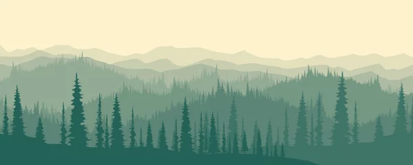 Crédence de cuisine en verre imprimé Forêt dans le brouillard Landscape and mountains, misty morning landscape, mountain silhouettes, nature landscape vector.