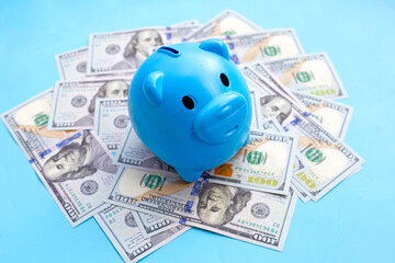 Blue piggy bank on one hundred dollar banknotes. Financial concept