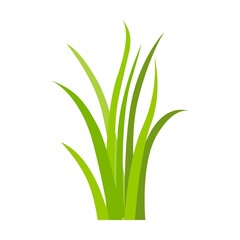 Grass icon. Leaf borders, nature background vector illustration. Green land for template design