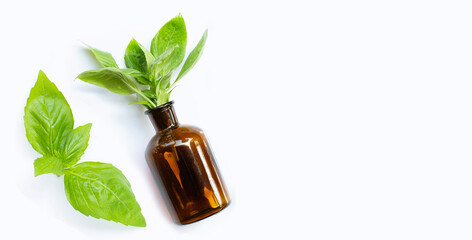 A bottle of essential oil with fresh basil leaves on white