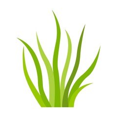 Green grass. Leaf borders, nature background vector illustration. Green land for template