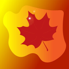 Графика и иллюстрации