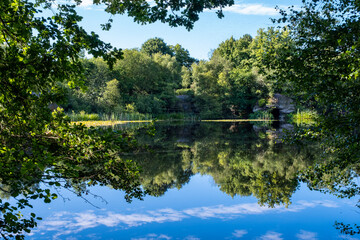 Lake view on a summer morning with a cloud of midges and reflections in the water