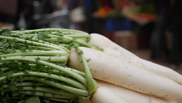 Organic white radish or mooli for sale at vegetable market, close up. Selling vegetables in shop. Fresh radish or Raphanus sativus var. longipinnatus at the greengrocer's stall.